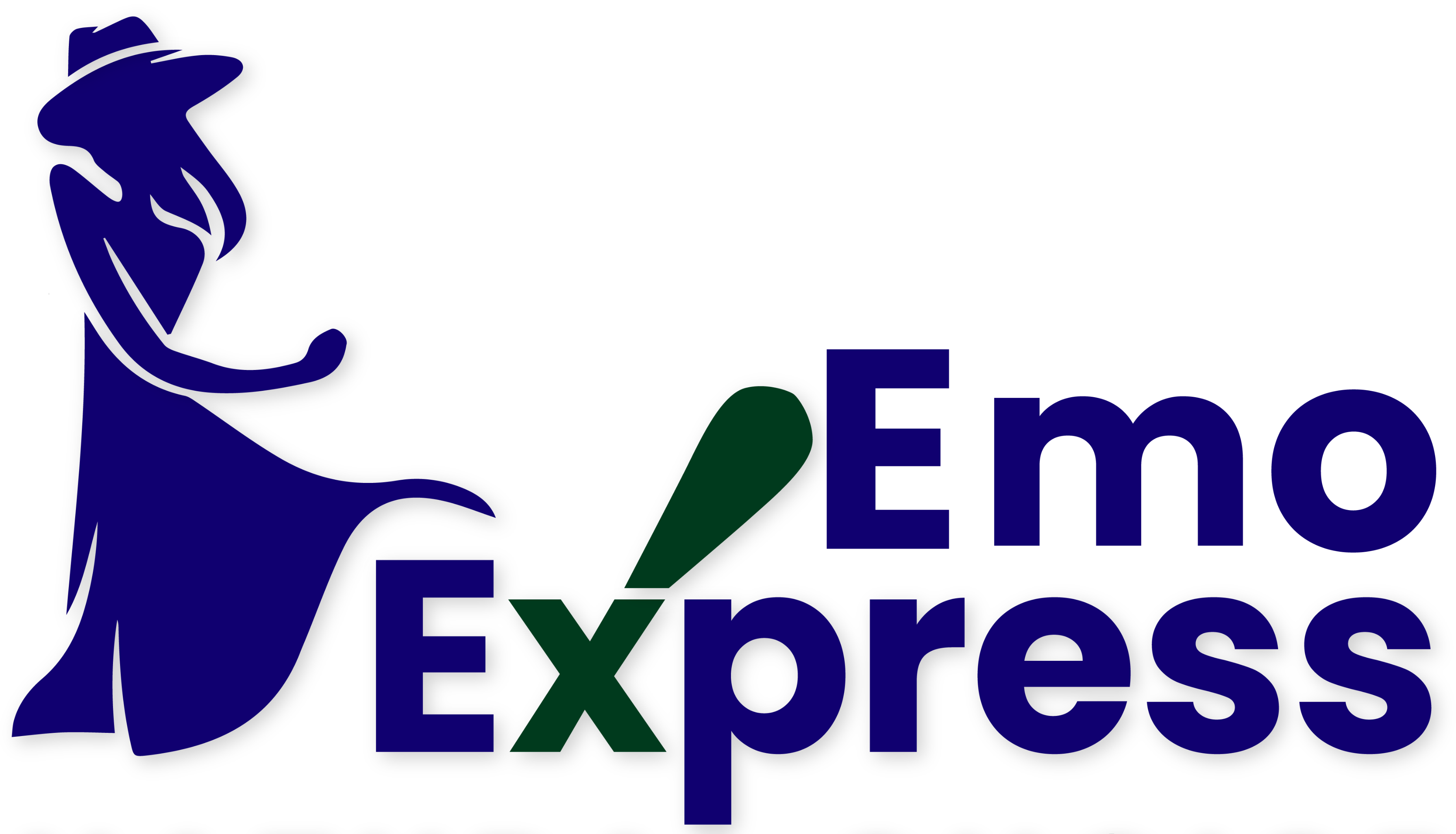 Emo Express Shop